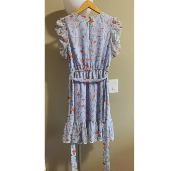 BANANA REPUBLIC Floral Puff-Sleeve Dress SIZE PETITE 00 GOOD AS NEW - Picture 5 of 12